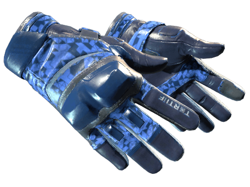 Moto Gloves | Polygon