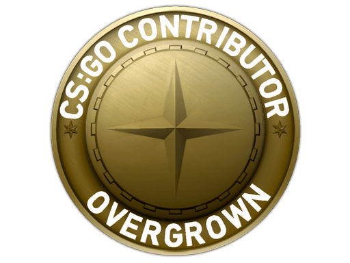 Overgrown Map Coin