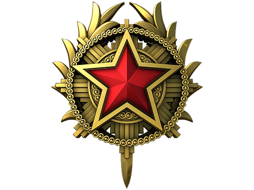 2020 Service Medal