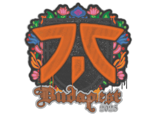 Sealed Graffiti | fnatic | Budapest 2025