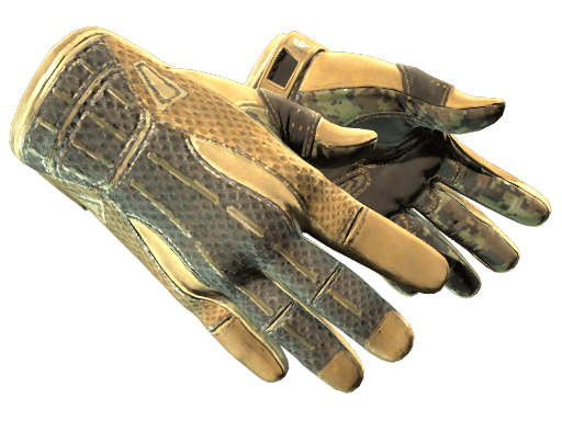 Sport Gloves | Arid