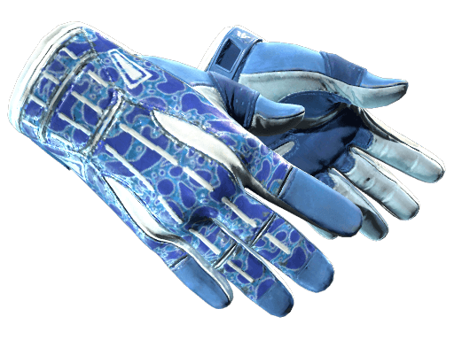 Sport Gloves | Amphibious