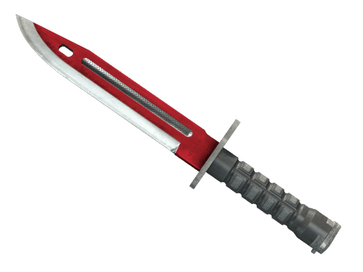 Bayonet | Autotronic
