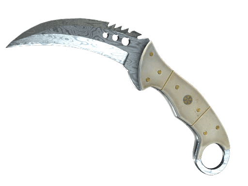 ★ StatTrak™ Talon Knife | Damascus Steel (Battle-Scarred)