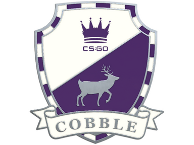 Cobblestone Pin