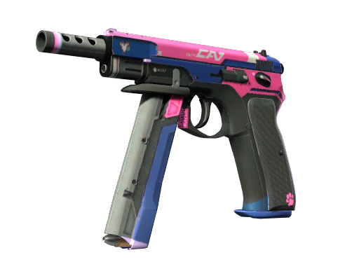 CZ75-Auto | Tacticat (Battle-Scarred)