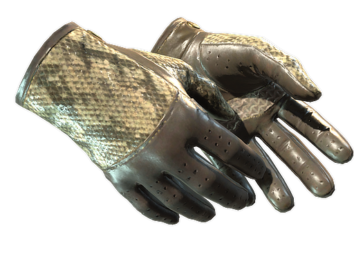 ★ Driver Gloves | Diamondback (Factory New)
