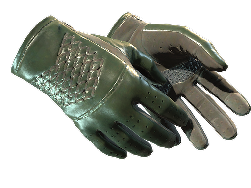 ★ Driver Gloves | Racing Green (Factory New)