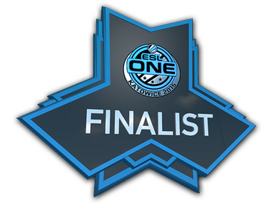 Finalist at ESL One Katowice 2015