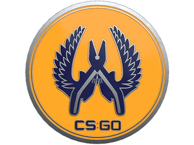 Guardian 2 Pin