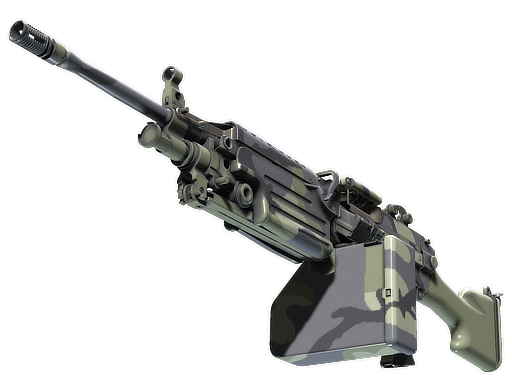 M249 | Sage Camo (Battle-Scarred)