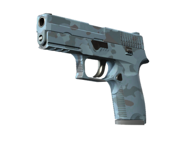 P250 | Forest Night