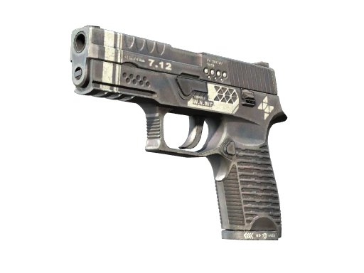 P250 | Re.built (Battle-Scarred)