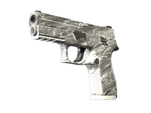 P250 | Sleet (Battle-Scarred)