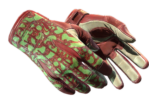 ★ Sport Gloves | Bronze Morph (Factory New)