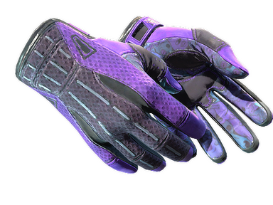 Sport Gloves | Pandora's Box