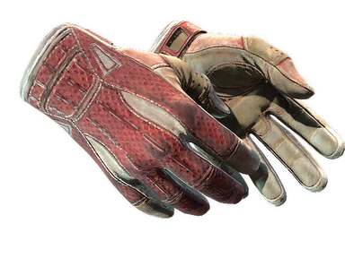 Sport Gloves | Slingshot