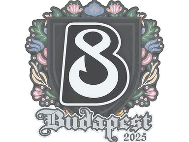 Sticker | B8 | Budapest 2025