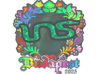 Sticker | INS (Holo) | Budapest 2025