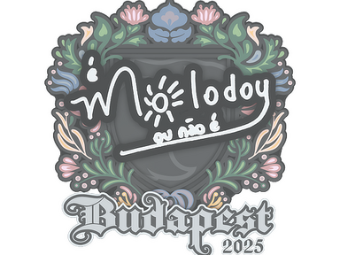 Sticker | molodoy | Budapest 2025