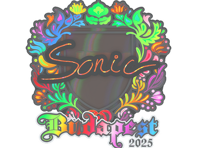 Sticker | Sonic (Holo) | Budapest 2025