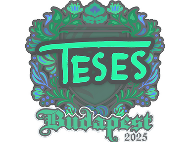 Sticker | TeSeS | Budapest 2025