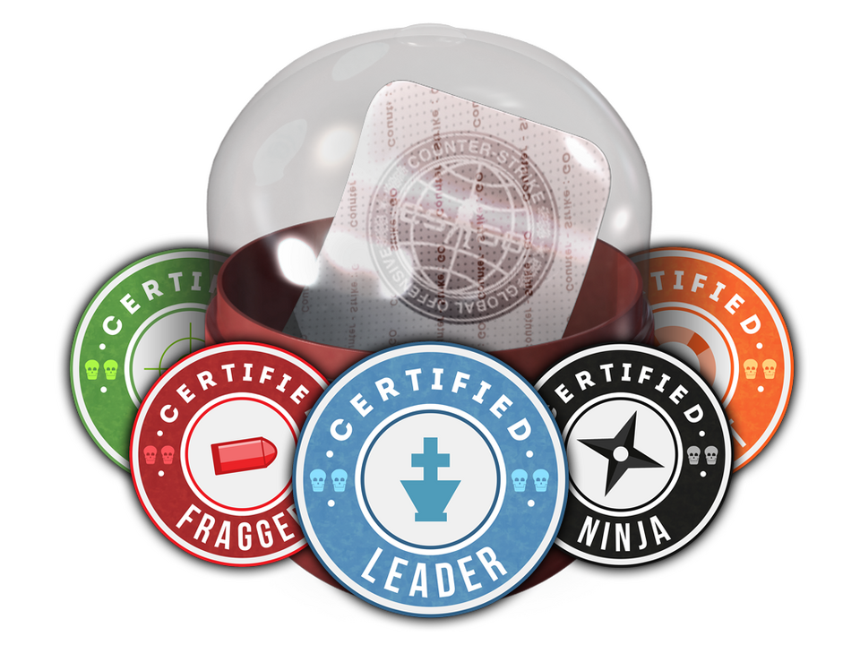 Team Roles Capsule